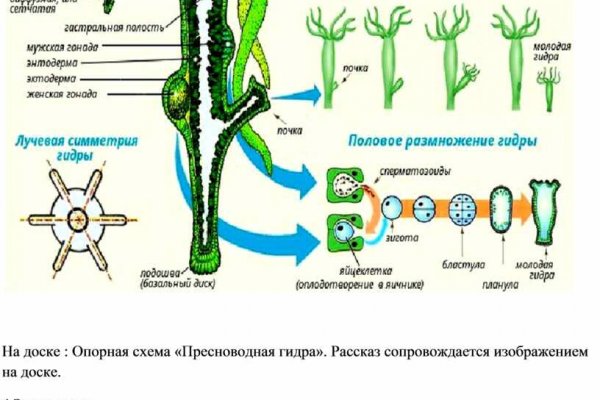 Сайт kraken в tor